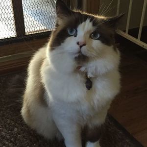 Meet your Posher, Sandy